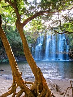 a large waterfall surrounded by trees and water