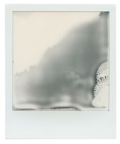 a polaroid photograph of a white bird in the sky with clouds and water behind it