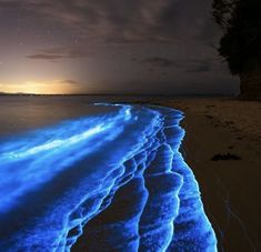 the water is glowing blue at night on the beach