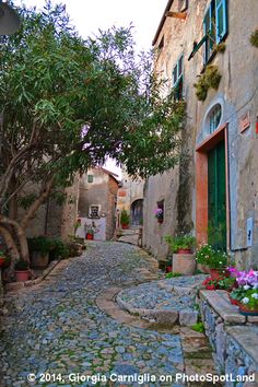 a cobblestone street with potted plants on either side