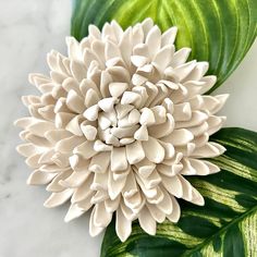 a large white flower sitting on top of a green leafy plant next to a marble wall