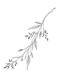 a black and white drawing of a branch with leaves