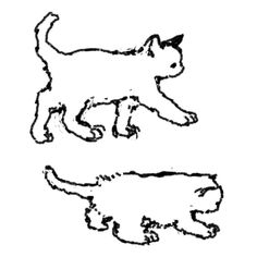 two cats are standing next to each other on a white background, one is black and the other is white