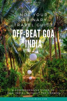 palm trees with the words, not your ordinary travel guide off - beat goa india