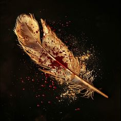 a feather with blood splatters on it