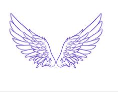 an image of two wings on a white background