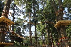 several wooden structures in the middle of a forest with ropes hanging from them and trees