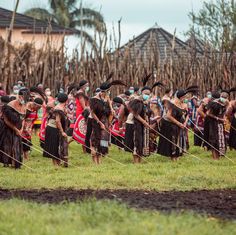 several people dressed in native american clothing and headdresses are standing on the grass