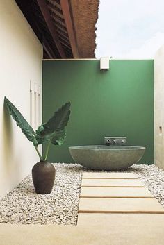 a bathroom with green walls and a plant in the middle