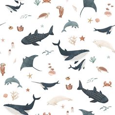 an ocean themed wallpaper with dolphins and other marine creatures on it's white background