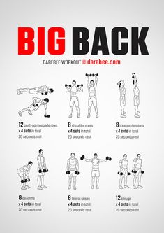 the big back workout poster shows how to do it