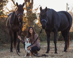 a woman kneeling down with two horses and a dog in front of her on the ground