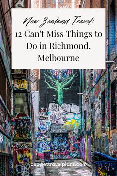 an alleyway with graffiti on it and the words can't miss things to do in richmond, melbourne