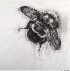 a drawing of a bee on a white surface with black and yellow details in the background