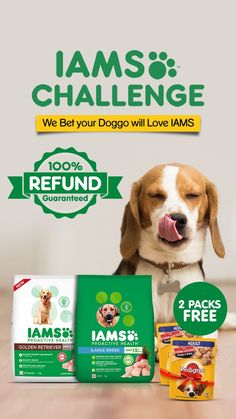 a dog with its mouth open next to two packs of iams's challenge