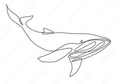 a drawing of a whale with its mouth open and it's tail curled up