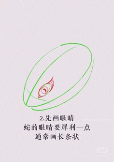 a drawing of a flying disc with chinese writing on the bottom and an image of a bird's eye