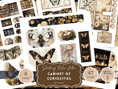 the cabinet of curiosities is full of butterflies and flowers