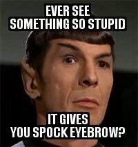 an image of the face of spockybrown from star trek with caption