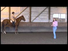 a woman standing next to a brown horse in an indoor arena with a man on top of the horse