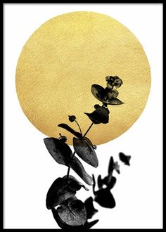 the sun is shining over some plants in front of a black and white background with yellow circles