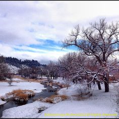 a snowy landscape with trees and water in the foreground, surrounded by snow covered ground