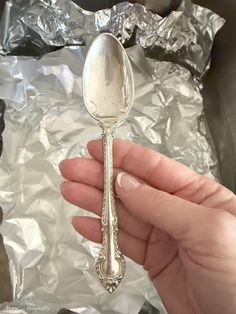 a person holding a spoon in their hand