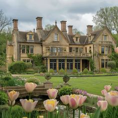 tulips blooming in front of a large house