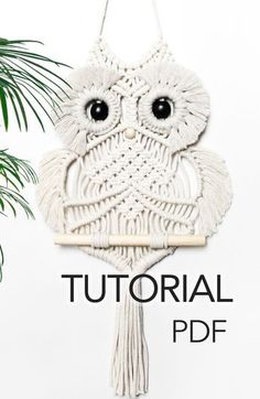 an owl is hanging on the wall next to a potted plant and text that reads,