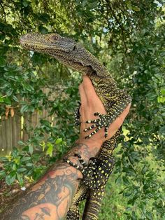 a man holding an alligator in his hand with tattoos on it's arms and arm