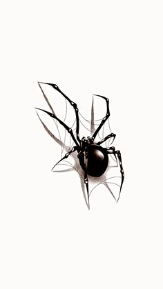 a black and white photo of a spider