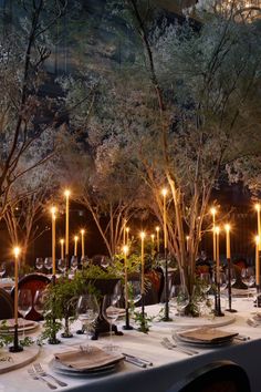 a long table is set with place settings and lit candles in the center, surrounded by tall trees