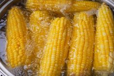 cooked corn on the cob in boiling water