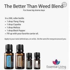 Triple the amount of oils, drop onto an Aromatherapy Inhaler, and you have the highest BCP content around! Ylang Ylang 15%, Copaiba 55%,  Melissa 10%, Black Pepper 22%.  Wow, no wonder this is called "Better Than Weed Blend". Beginners Yoga.  Yoga for Bone Strength.  Easy Yoga.  Gentle Yoga Rollerball Recipes, Terra Essential Oils, Oils For Hair, Copaiba Essential Oil, Roller Blends, Benefits Of Essential Oils, Doterra Oil