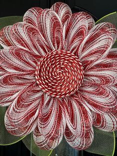 a large red and white flower with green leaves