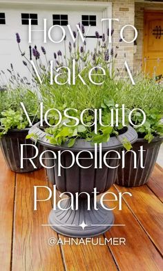 two potted plants with the words how to make a mosquito repellent planter