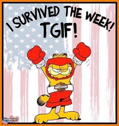 an image of garfield the cat with boxing gloves