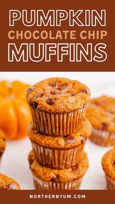 Pumpkin Chocolate Chip Muffins Healthy Pumpkin Chocolate Chip Muffins, Pumpkin Chocolate Chip Muffin Recipe, Pumpkin Banana Muffins, Pumpkin Muffin Recipes, High Protein Desserts, Jello Shot, Pumpkin Banana