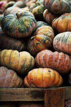 many pumpkins are stacked on top of each other in a wooden crate at the market