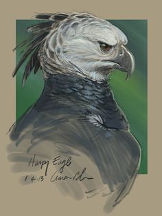 a drawing of an eagle with the words happy eagle on it's back side