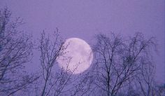 the moon is seen through some trees in the night sky with no leaves on it