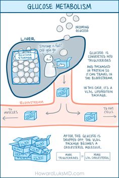 a diagram showing how to use glucose metabolism