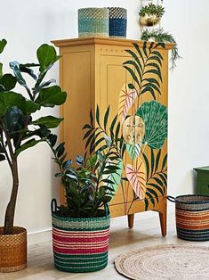 three potted plants sitting next to each other in front of a cabinet and rug