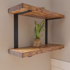 a potted plant sitting on top of a wooden shelf