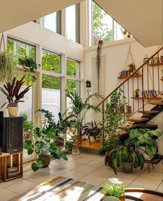 a living room filled with lots of plants next to a stair case in front of a window