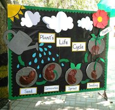 a bulletin board with pictures of plants and life cycles for kids to use in the garden