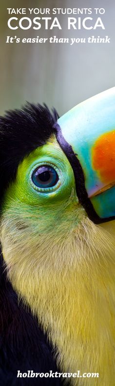 a toucan bird with the caption take your students to costa rica it's easier than you think