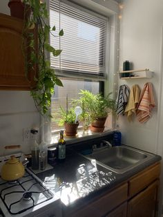 a kitchen with a sink, stove top and potted plants on the window sill