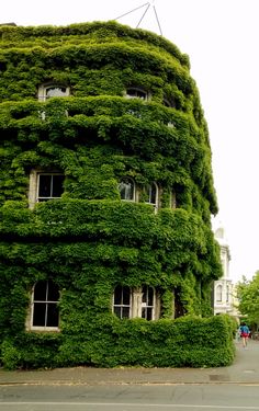 a very tall building covered in lots of green plants