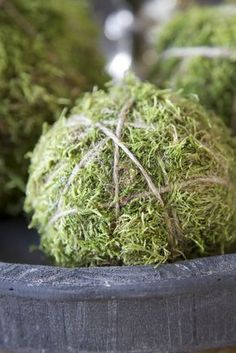 moss balls in a bowl on a table